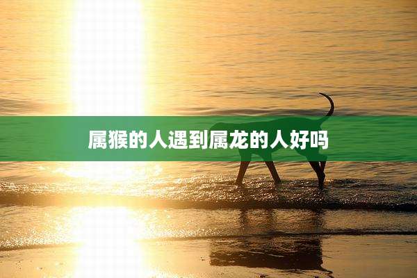 属猴的人遇到属龙的人好吗