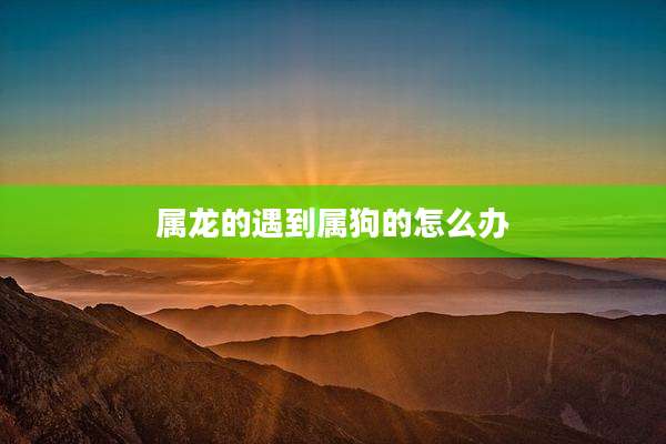 属龙的遇到属狗的怎么办