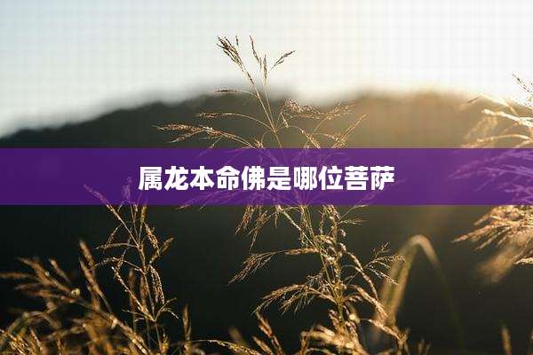 属龙本命佛是哪位菩萨