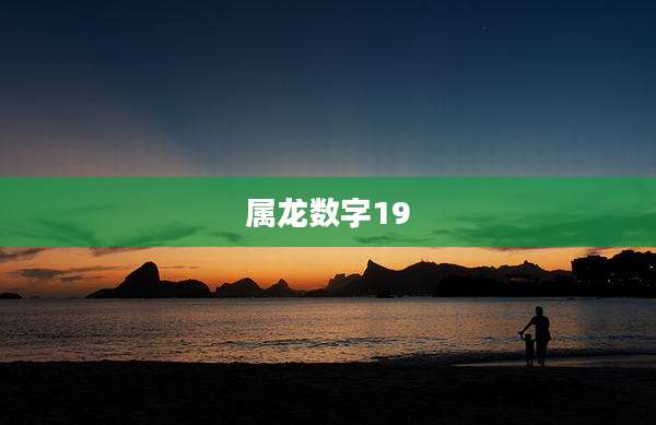 属龙数字19
