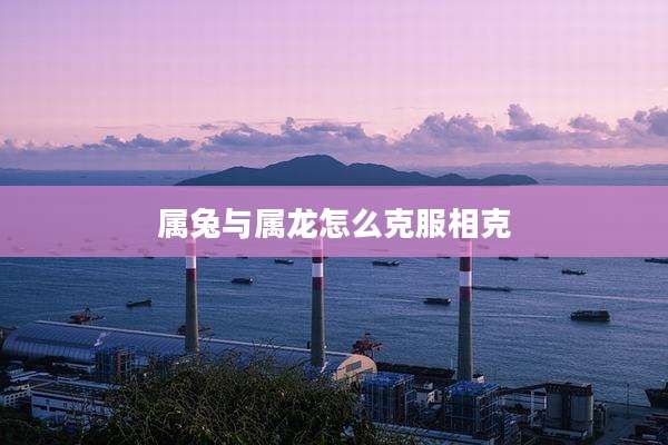 属兔与属龙怎么克服相克