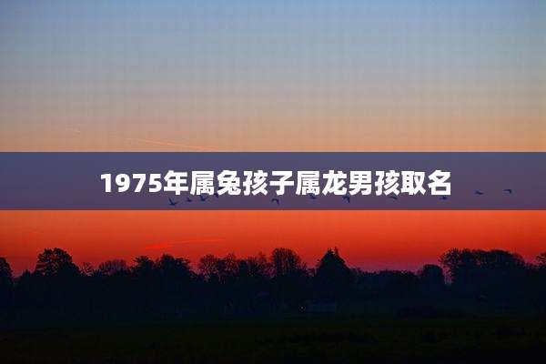 1975年属兔孩子属龙男孩取名