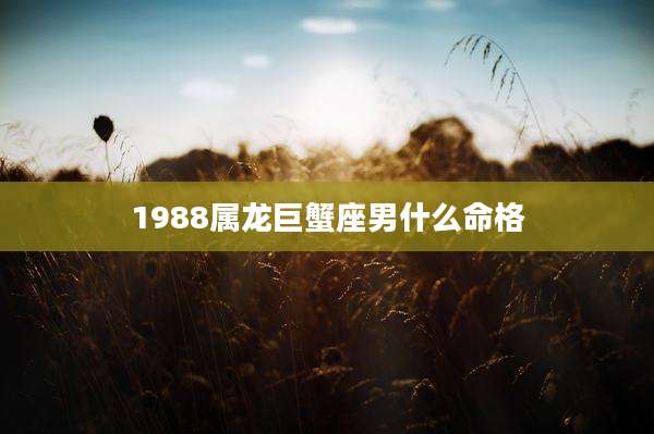 1988属龙巨蟹座男什么命格