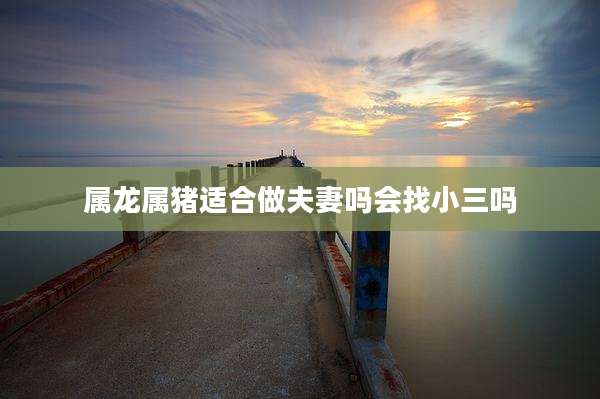 属龙属猪适合做夫妻吗会找小三吗