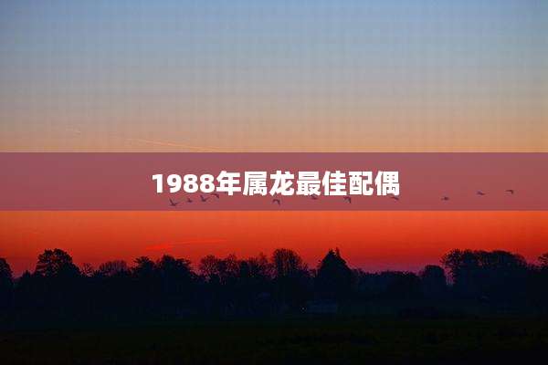 1988年属龙最佳配偶