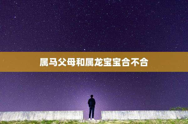 属马父母和属龙宝宝合不合
