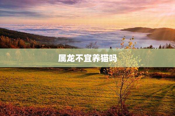 属龙不宜养猫吗