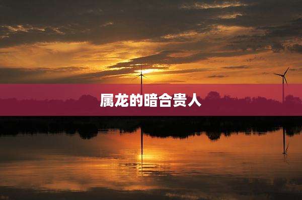 属龙的暗合贵人