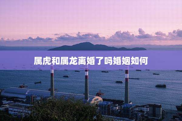 属虎和属龙离婚了吗婚姻如何