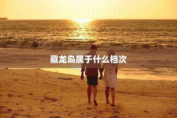 藏龙岛属于什么档次