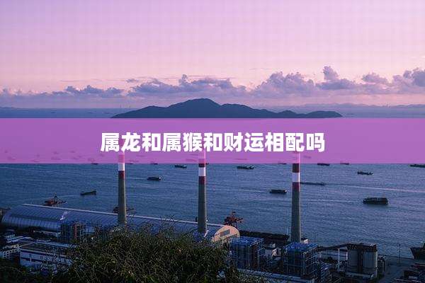 属龙和属猴和财运相配吗