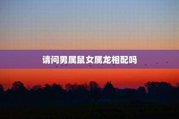 请问男属鼠女属龙相配吗