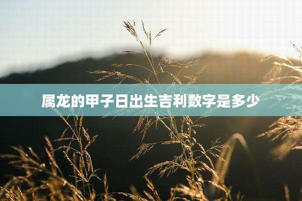 属龙的甲子日出生吉利数字是多少