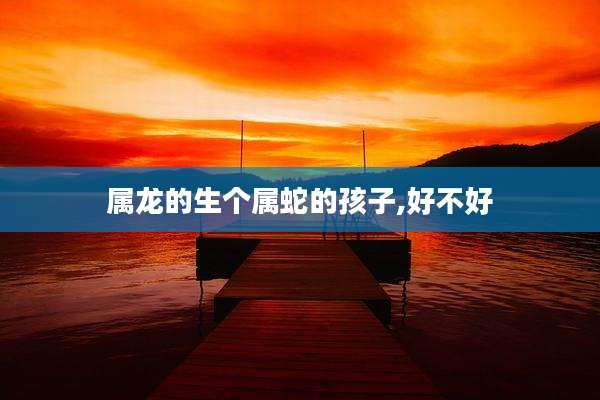 属龙的生个属蛇的孩子,好不好