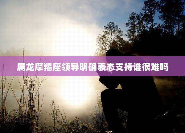 属龙摩羯座领导明确表态支持谁很难吗