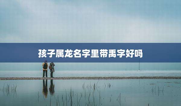 孩子属龙名字里带禹字好吗