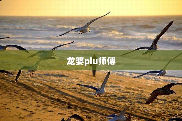 龙婆piu师傅