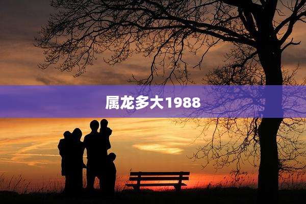 属龙多大1988