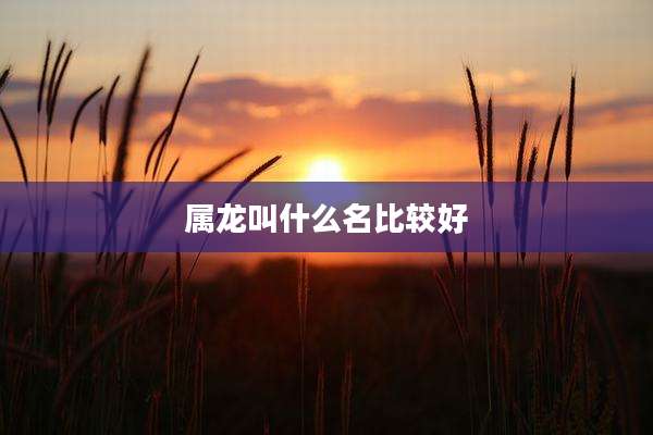属龙叫什么名比较好