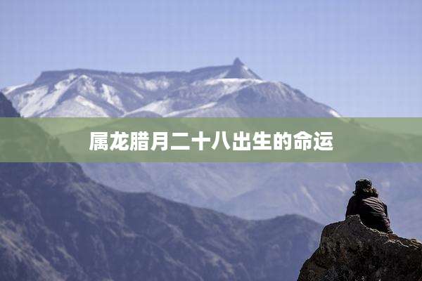 属龙腊月二十八出生的命运