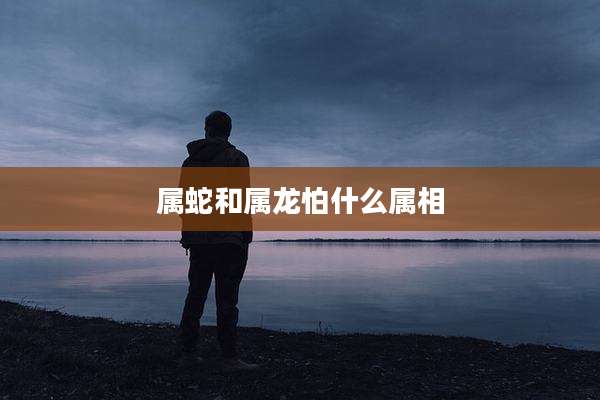 属蛇和属龙怕什么属相