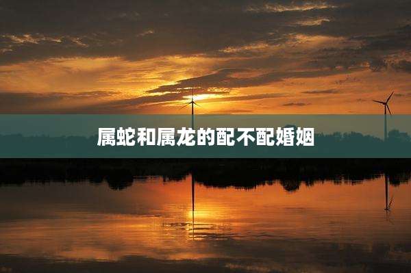 属蛇和属龙的配不配婚姻