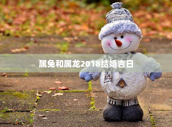 属兔和属龙2018结婚吉日