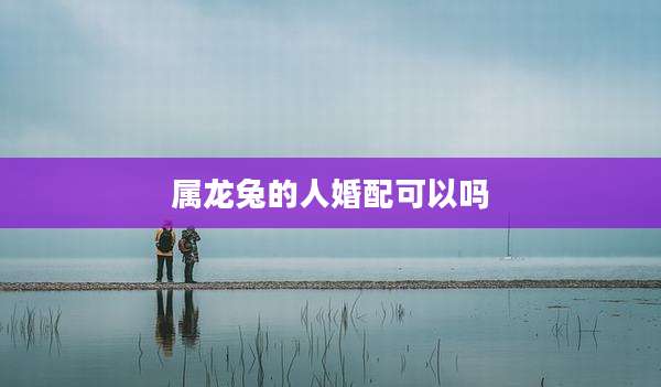 属龙兔的人婚配可以吗