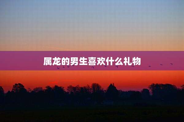 属龙的男生喜欢什么礼物
