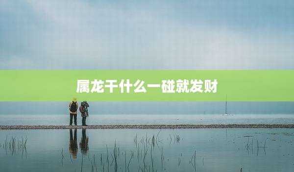 属龙干什么一碰就发财