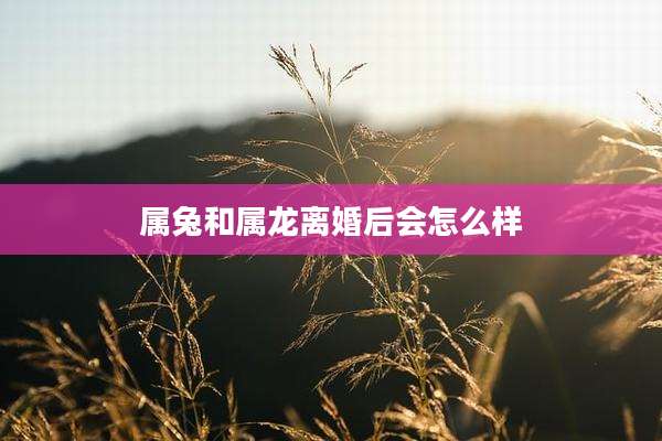 属兔和属龙离婚后会怎么样