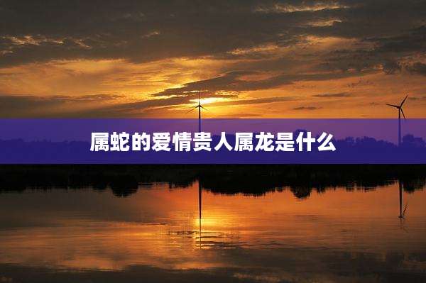 属蛇的爱情贵人属龙是什么