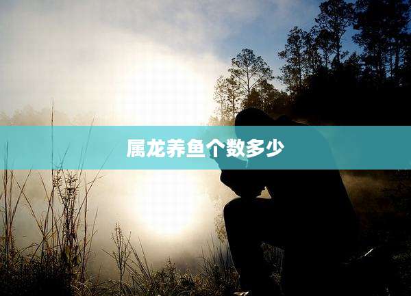属龙养鱼个数多少