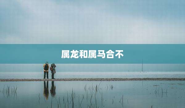属龙和属马合不