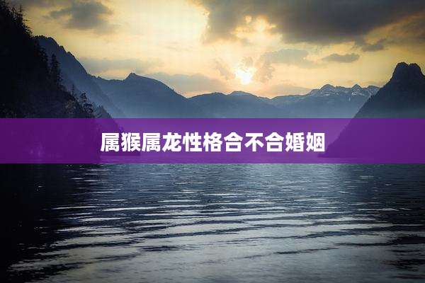 属猴属龙性格合不合婚姻