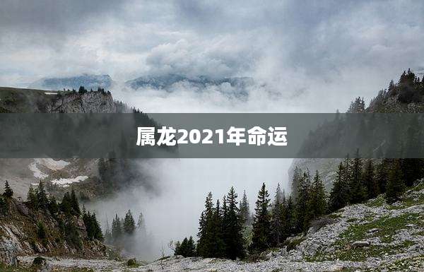 属龙2021年命运