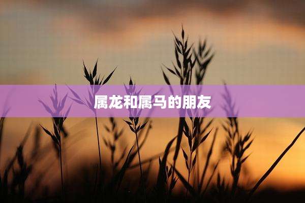 属龙和属马的朋友