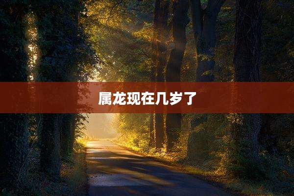 属龙现在几岁了