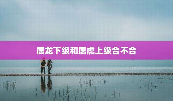 属龙下级和属虎上级合不合