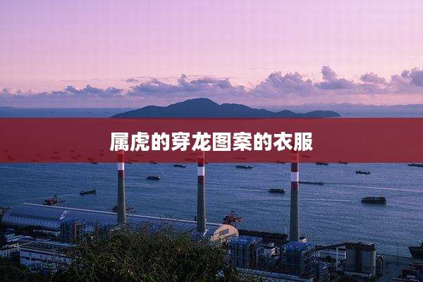 属虎的穿龙图案的衣服
