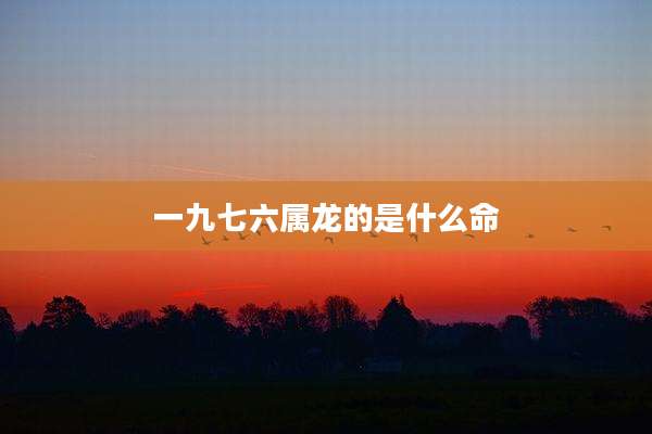 一九七六属龙的是什么命