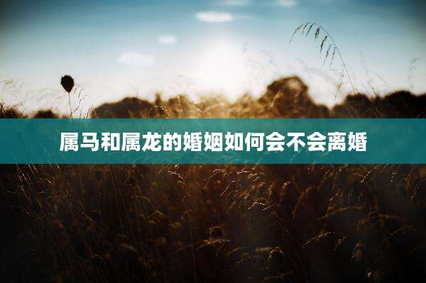 属马和属龙的婚姻如何会不会离婚