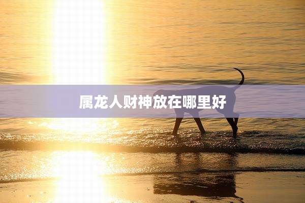 属龙人财神放在哪里好