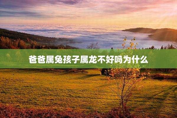 爸爸属兔孩子属龙不好吗为什么