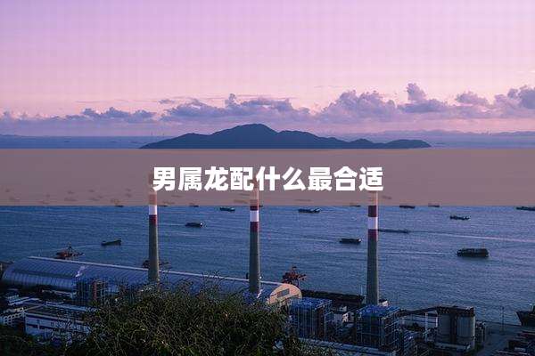 男属龙配什么最合适