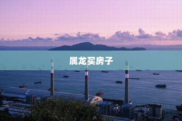 属龙买房子