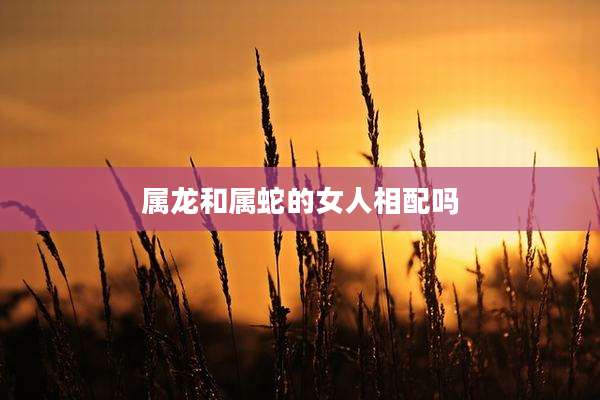 属龙和属蛇的女人相配吗