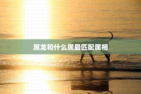 属龙和什么属最匹配属相