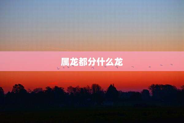 属龙都分什么龙