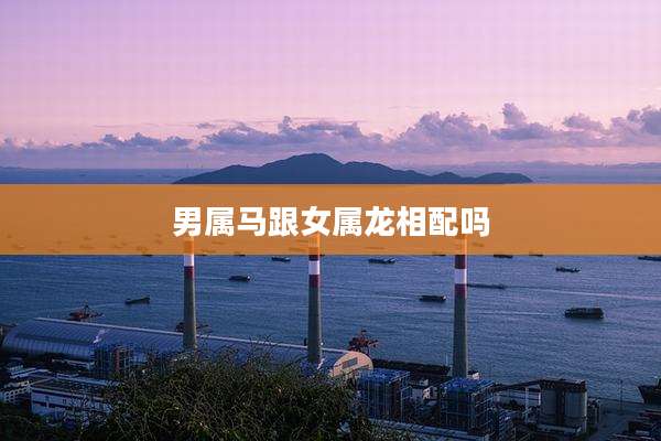 男属马跟女属龙相配吗